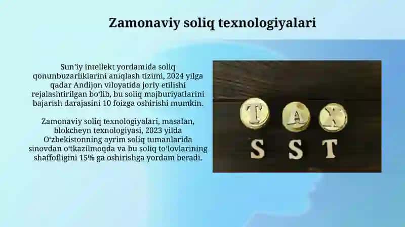 Soliq Auditlari 4