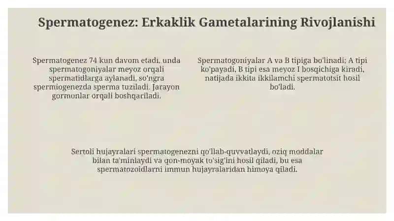 Gametagine zhayvonlarda jinsiy hujayralarning yetilishi 4