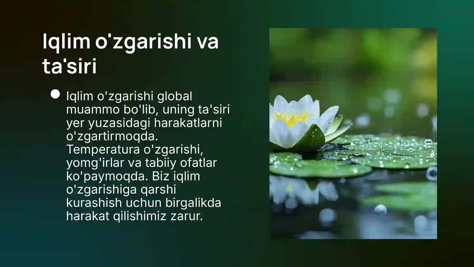 Ekologiya va Hodisalar 4
