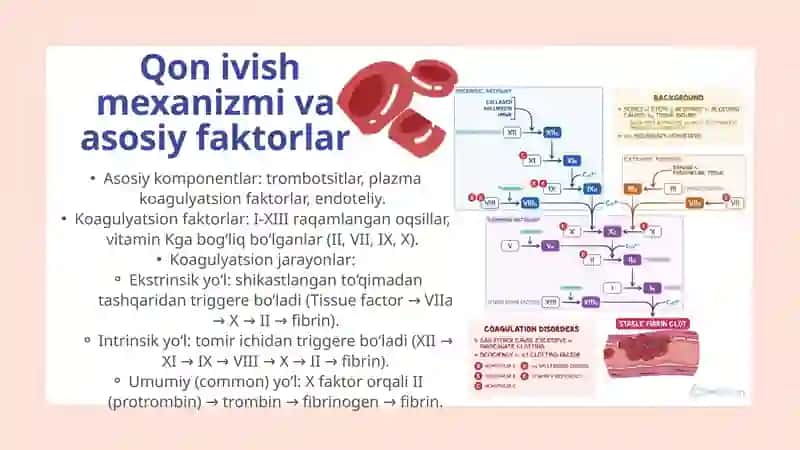 Qon quyishda koagulyatsion buzilishlar: sabablari, tuzatish tamoyillari. 4