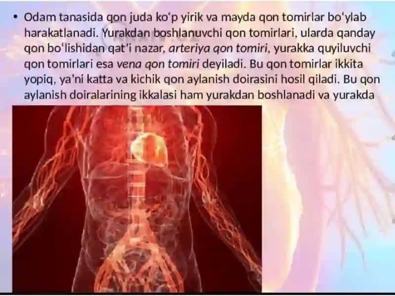 Tomirlar Sistemasiga Haqidagi Taʼlimot 4