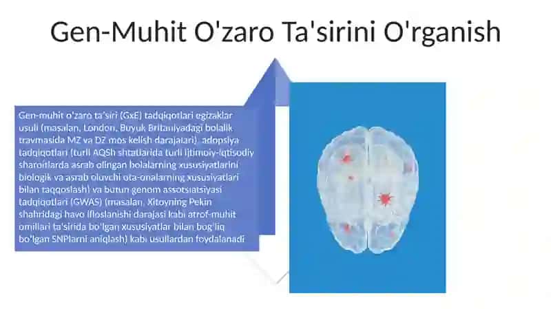 Psixologenetikaning asosiy metodlari 4