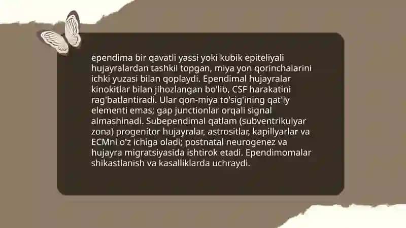 Oxirgi miya yon qorinchalar anatomiyasi va ularning funksional ahamiyati 4