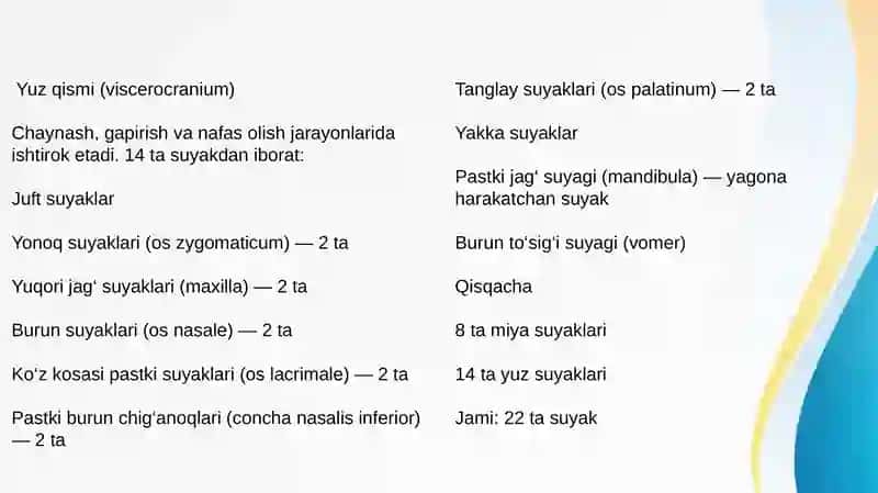 Kalla suyaklari rentgenanatomiyasi.Kallaning jinsiy va shaxsiy tafovutlari 4