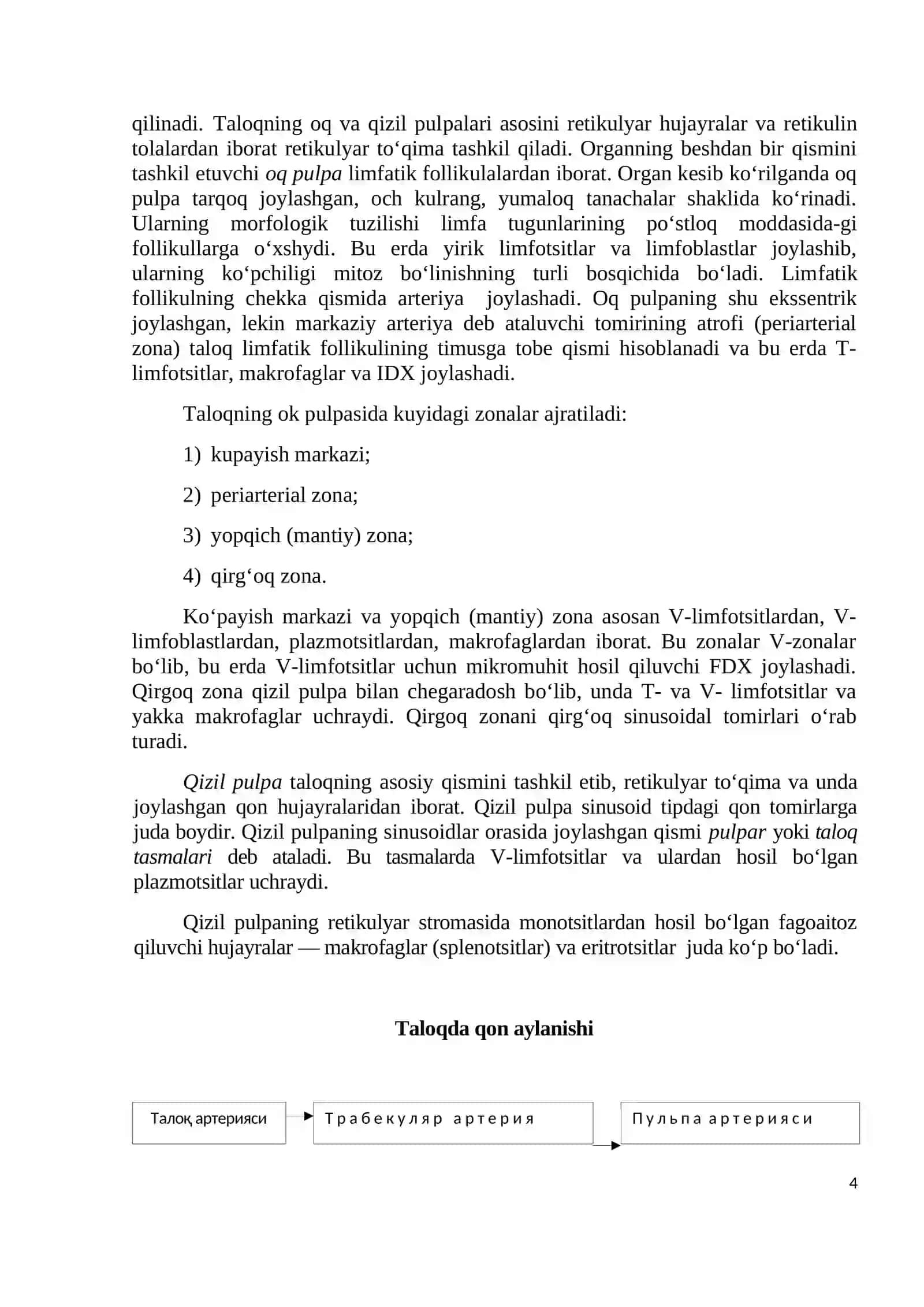 Qon yaratuvchi va immun ximoya a’zolari 4