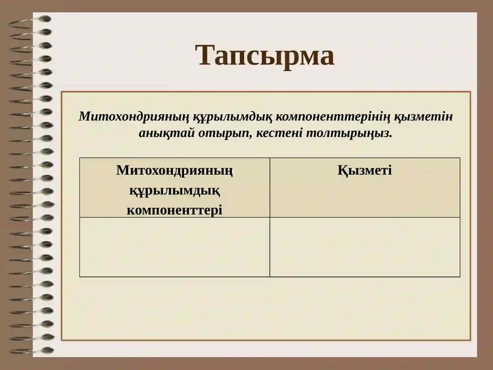 Митохондрияның құрылымы мен қызметтері. Кребс циклі және оның биологиялық маңызы 4