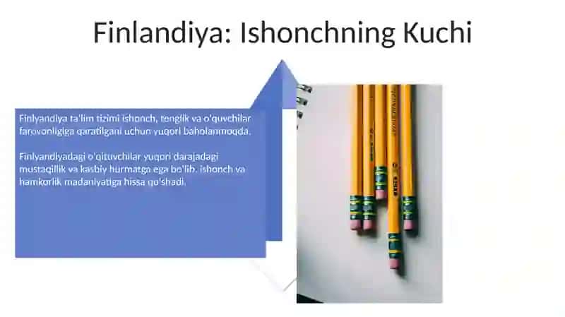 Xorijiy mamlakatlarda ta'lim tizimi 4