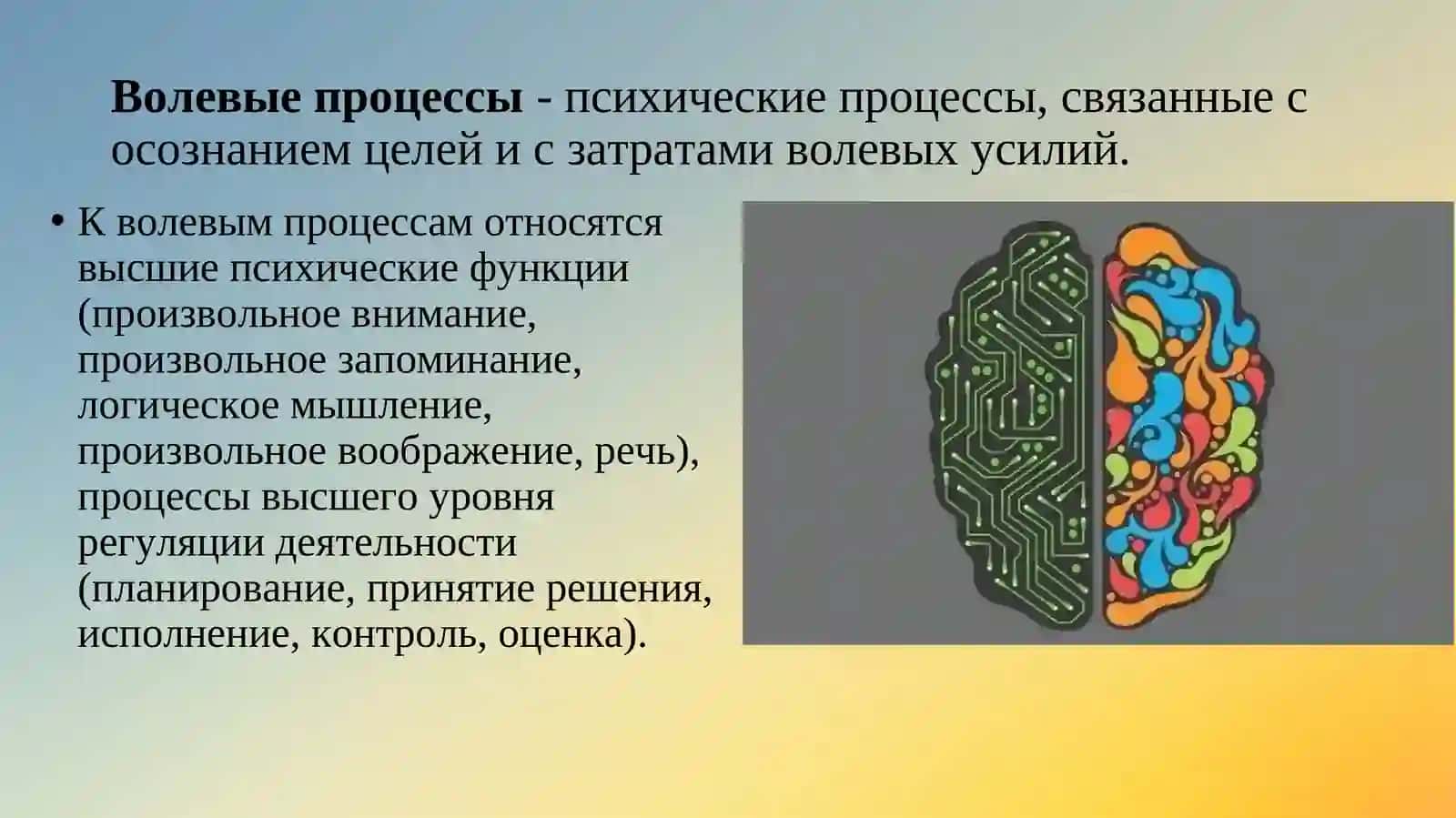 Воля и волевые качества личности 4