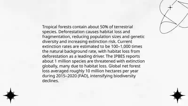 Deforestation 4