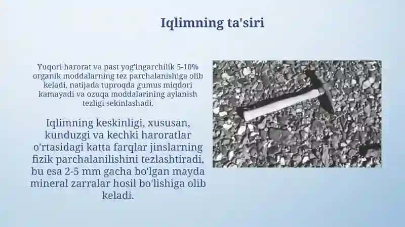 Cho'l zonasining tuproq morfologiyasi 4