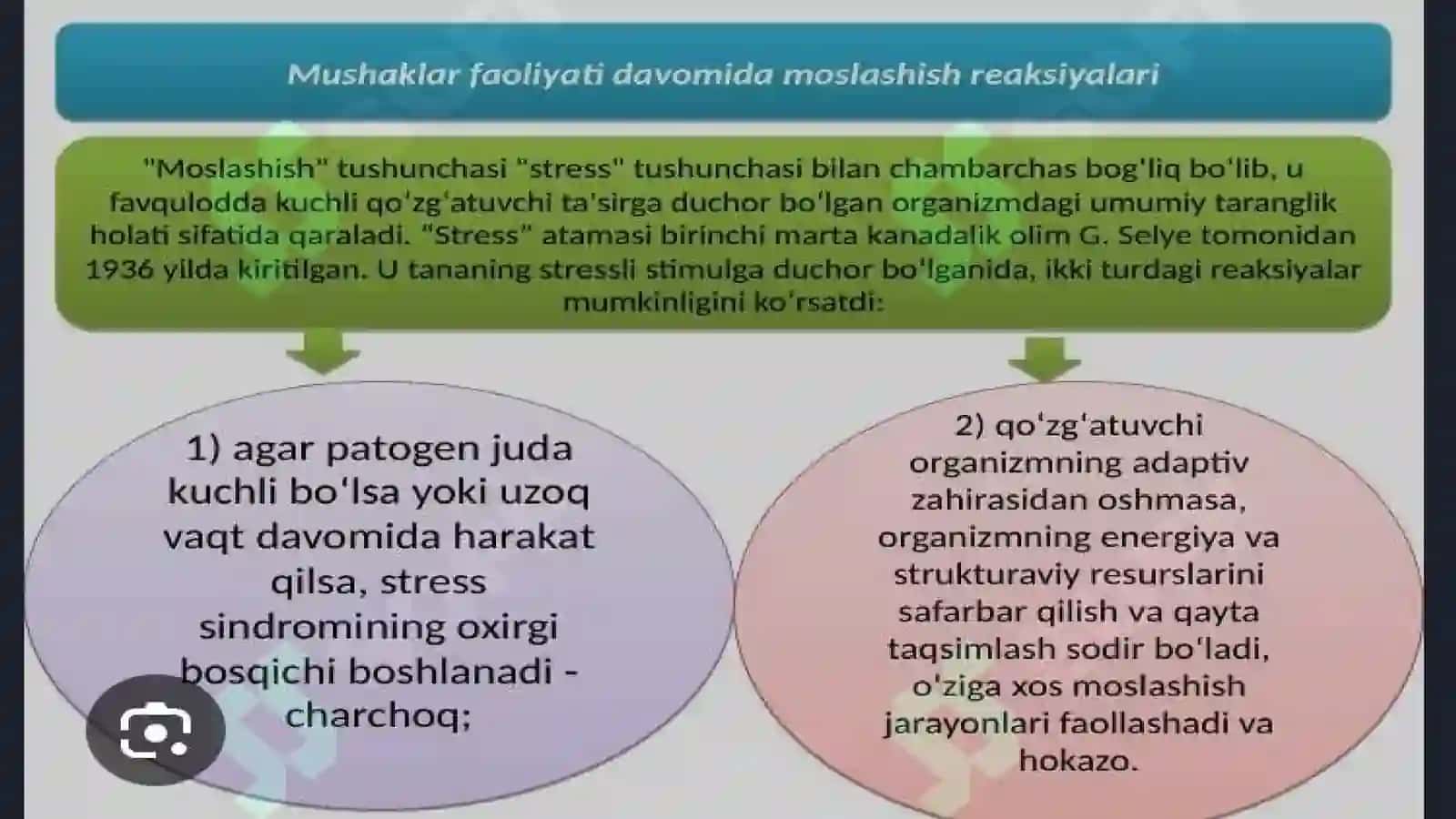 Inovatsıon fan talım vazırlıgı Köp Tarmoqlı Tıbbıyot texnıkumi 4