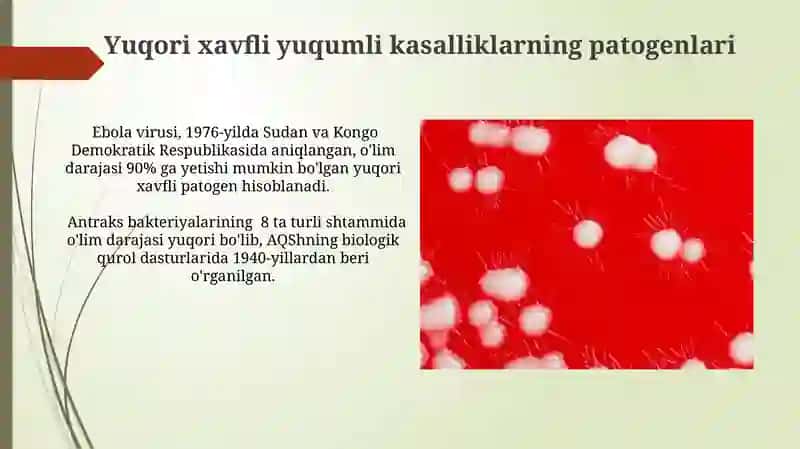Ushbu patogenlarning tarqalishi va ta'siri 4