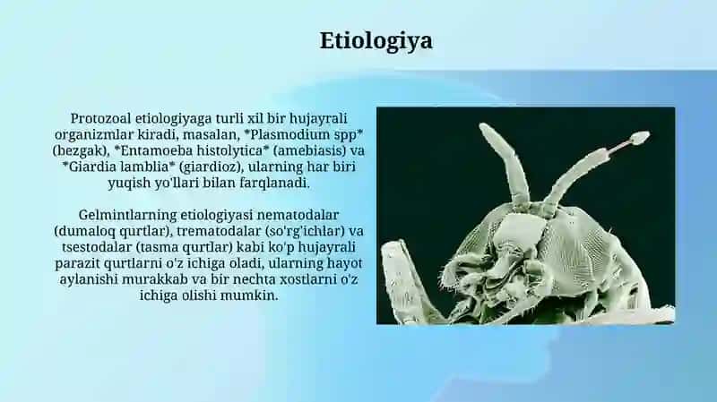 Parazitozlar (sodda jonivorlar va gelmintlar) qo'zg'atuvchi kasalliklar 4