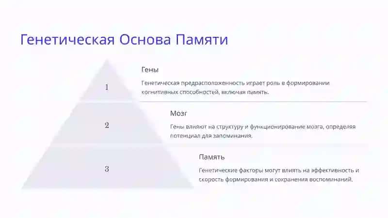 Основные факторы и условия развития памяти человека 4