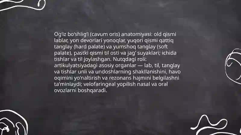 Nutq organlarining meʼyordagi anatomiya va fiziologiyasi 4