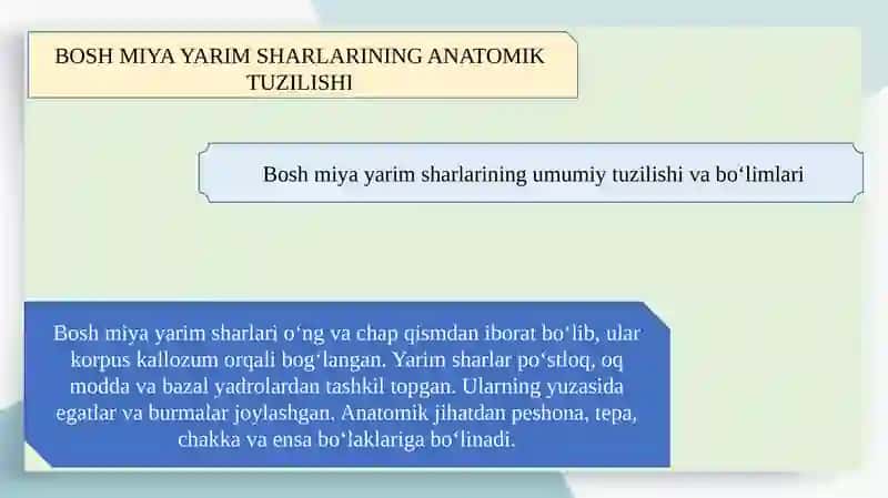 Bosh miya yarim sharlarining anatomiyasi fiziologiyashi va bilish 4