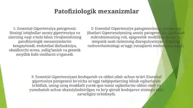 Essensial Gipertoniya Patogenezini Zamonaviy Aspektlari 4