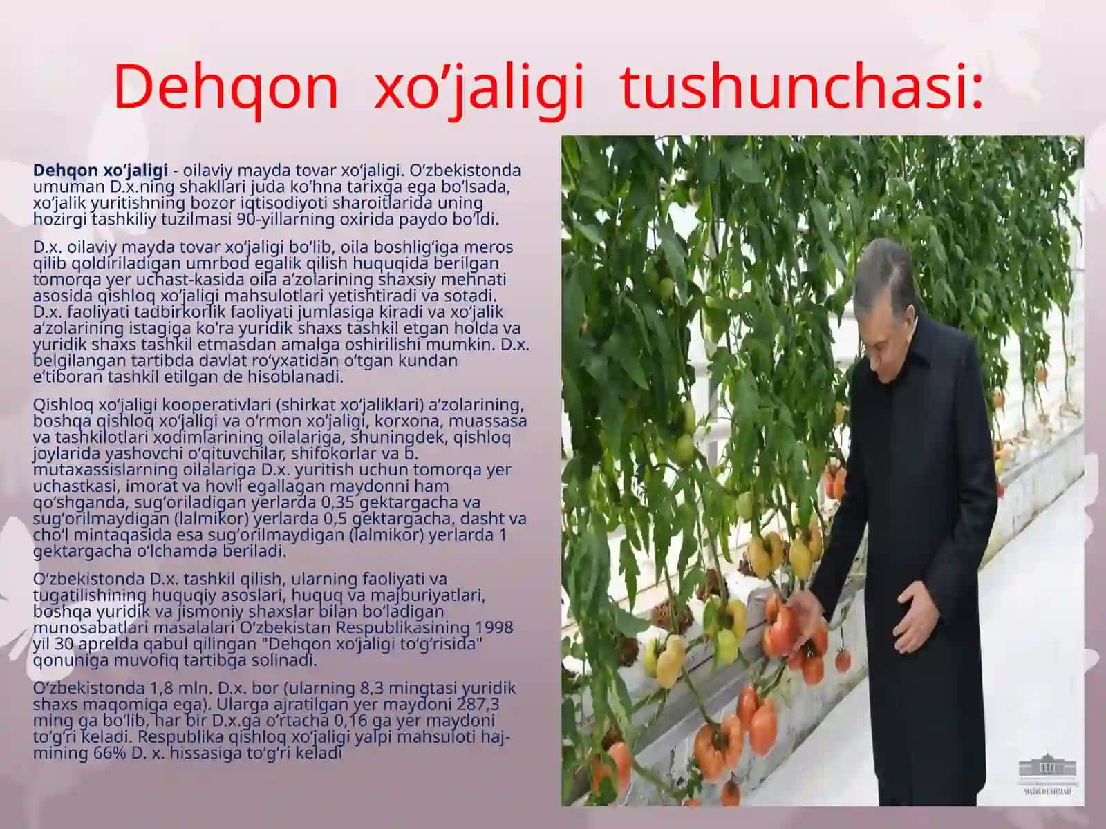 O’zbekistonda dehqon va fermer xo’jaliklarini rivojlantirishning davlat dasturlari 4