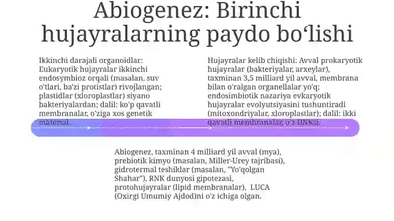 Xloroplastlar: Fotosintez va energiya yigʻish 4