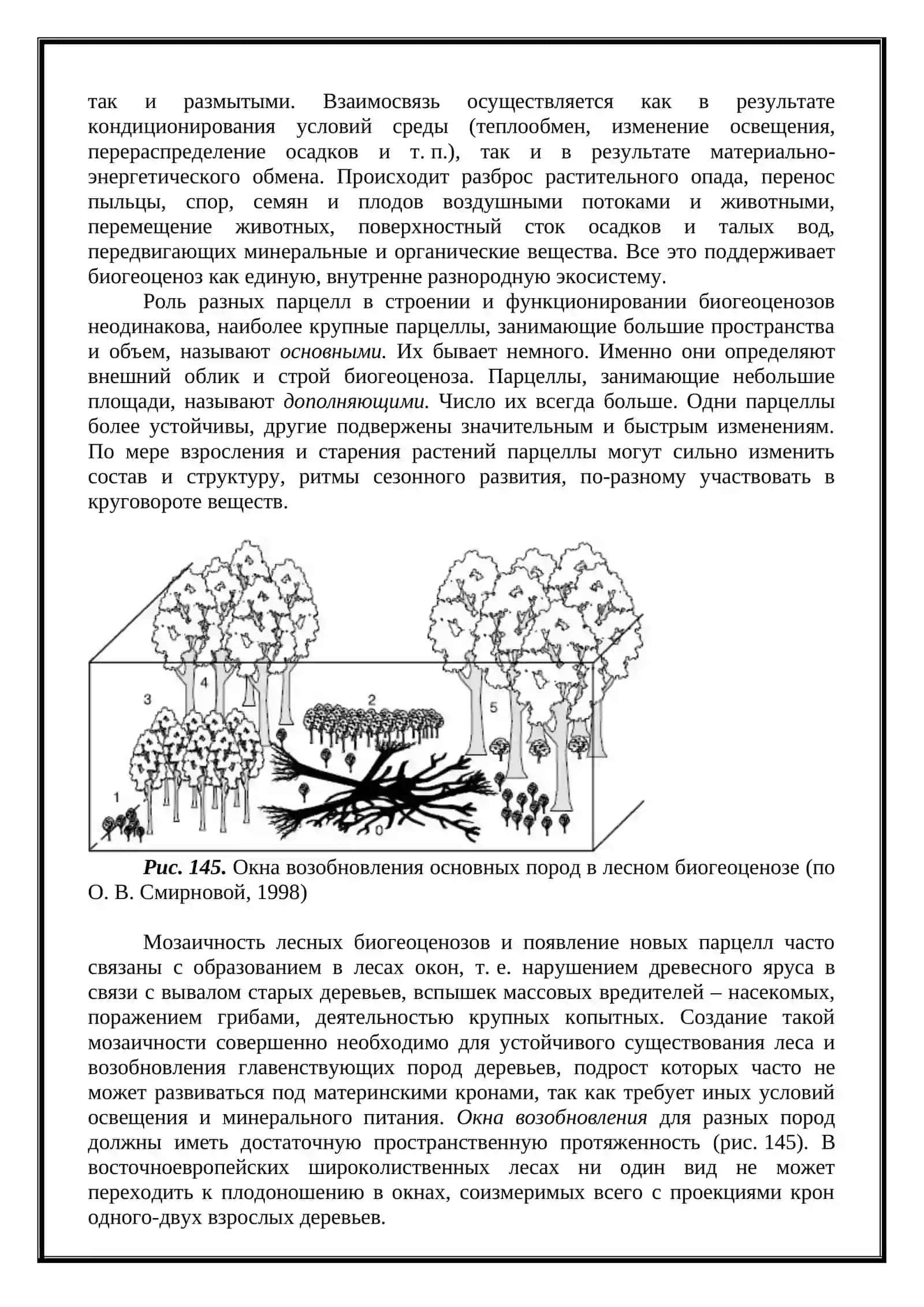 Понятие об экосистемах 4