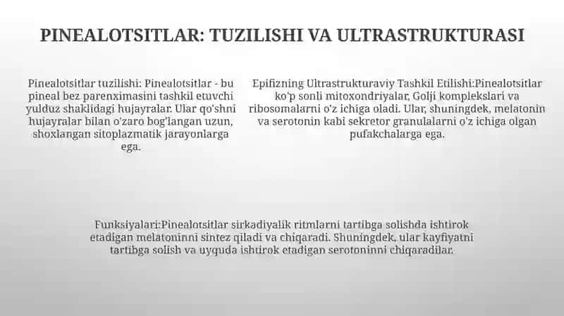 Epifizning Ultrastrukturaviy Tashkil Etilishi Va Funktsiyalari 4