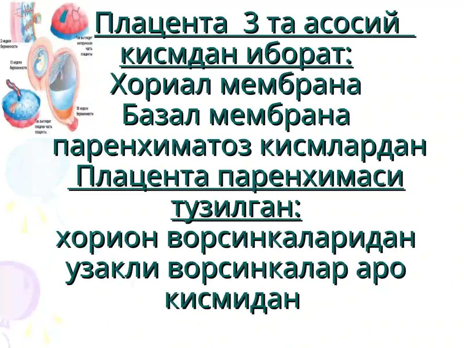 Фетоплацентар система 4