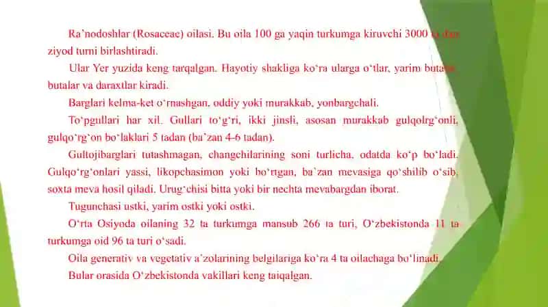 Na’matak-Rosaturkumivauning dorivorlik xususiyatlari 4