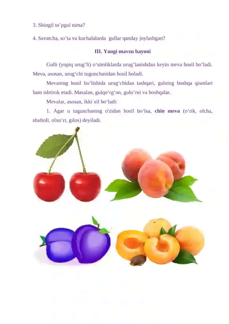 "MEVALAR" MAVZUSIDA TAYYORLAGAN DARS ISHLANMA 4