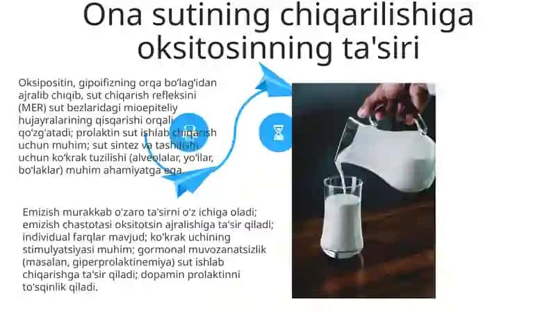 Sut bezlari gistaganezi va gistafizialogiyasi.Laktatsiya jarayonining neyra gumaral boshqaruvi 4