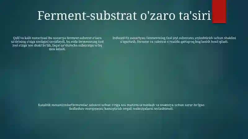 Ferment - Substrat Reaksiyalarining Spetsifikligi 4