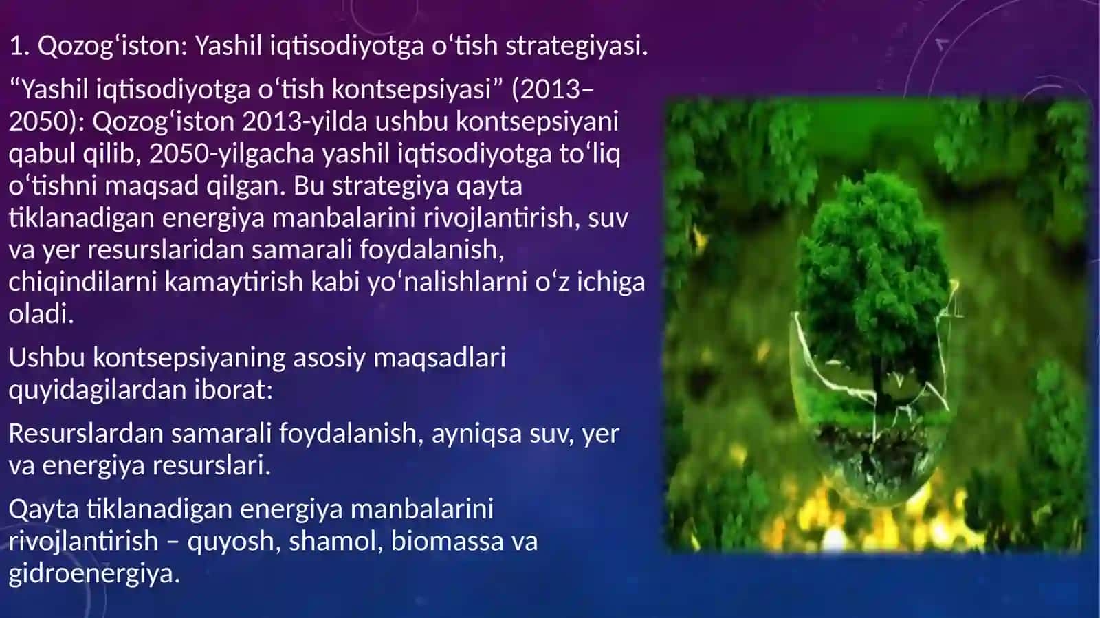 Yashil iqtisodiyot Boʻyicha qozogʻiston va qirgʻiziston kabiqoʻshni davlatlarning xalqaro tajribalari 4