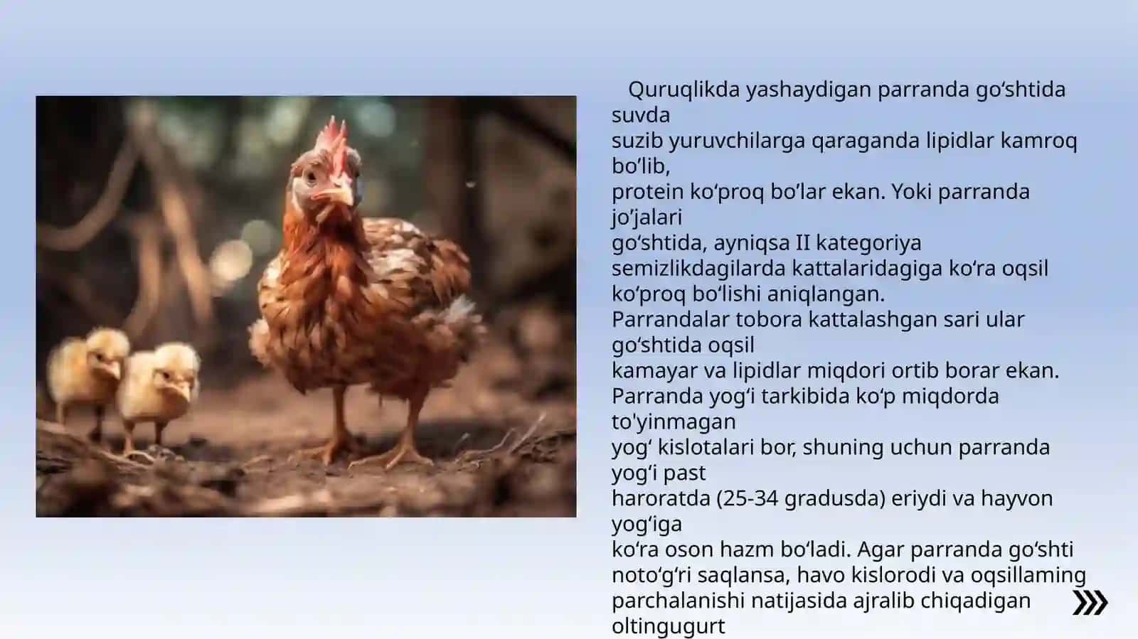 PARRANDA MAHSULOTLARI SIFATI VA ULARNING XAVFSIZLIGI 4