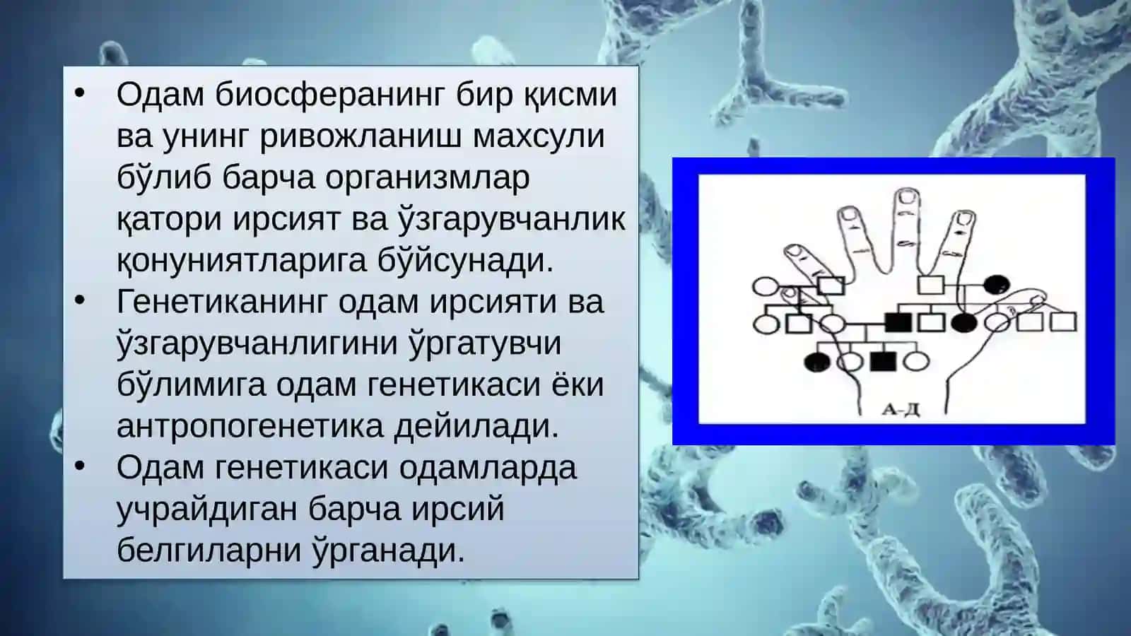 ТИББИЙ БИОЛОГИЯ. УМУМИЙ ГЕНЕТИКА 4