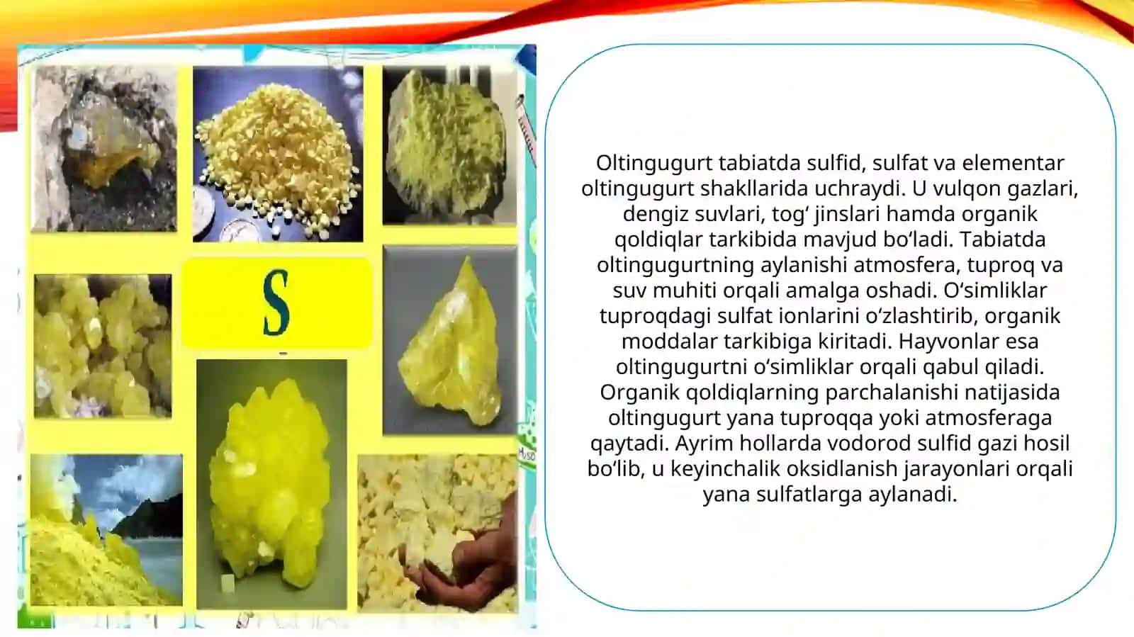 “Oltingugurt, fosfor va temirning tabiatda aylanishida mikroorganizmlarning roli” 4