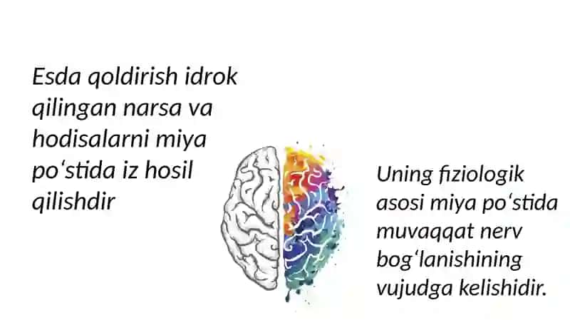 Xotira va Unutish 4