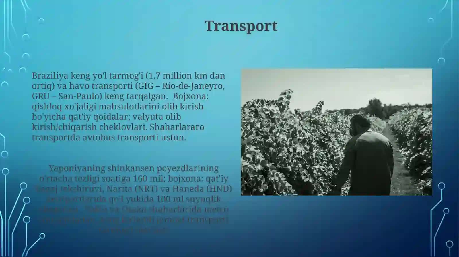 Bojxonaishinixorijtajribasi 4