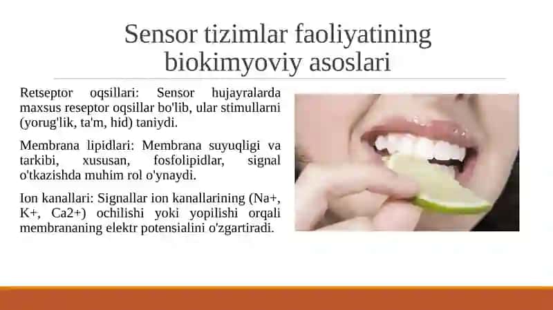 Sensor tizimlar faoliyatining bikomyoviy asoslari. Ta'm bilishning biokimyoviy asoslari 4