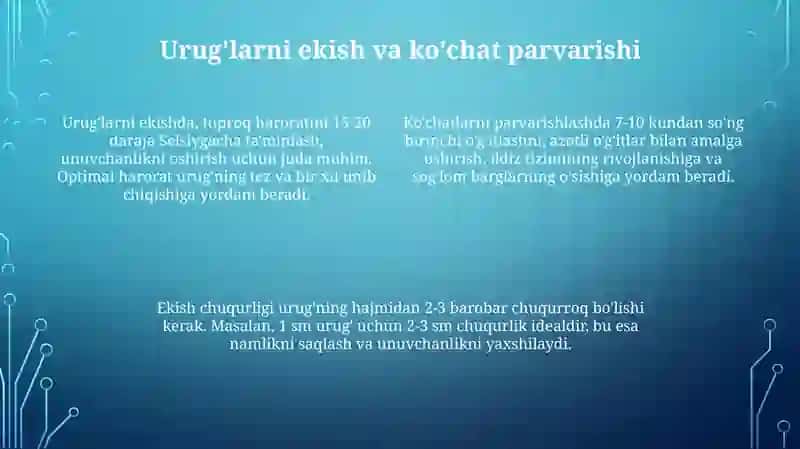 MTT Dao'simliklarni parvarish qilish bo'yicha amaliy mashg'ulotlar 4