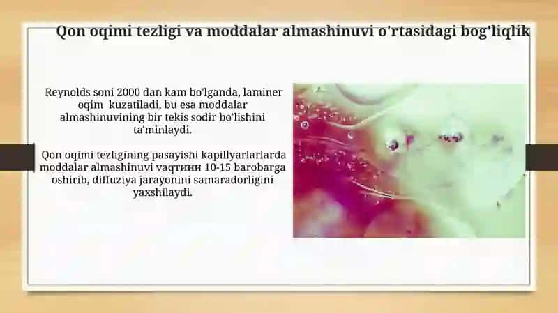 Qon tomirlari orqali moddalar almashinuvining Biofizikaviy Mehanizmi 4