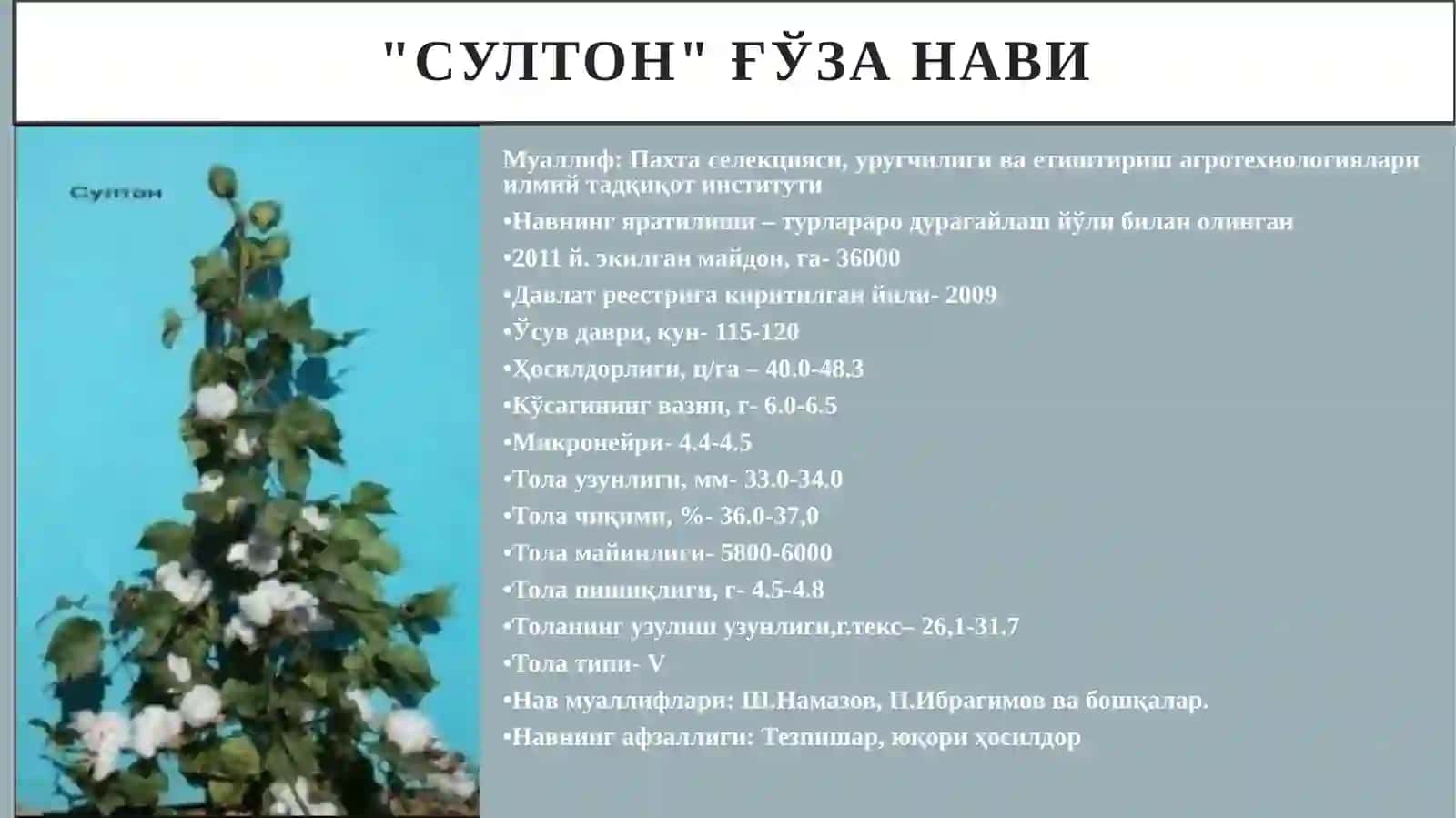 Сув  тежовчи  технологияларни қўллаш  орқали  қишлоқ  хўжалиги экинларини парваришлашда агротехник тадбирлар 4