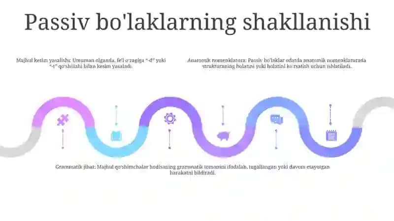 Anatomik Va Gistalogik Nomenklaturalarda QoʻLlaniladigan OʻTgan Zamon SifatdoshiningMajhullikNisbati 4
