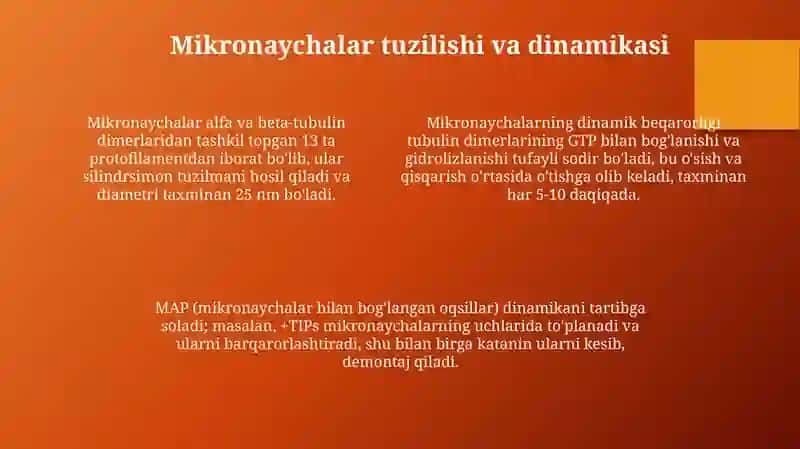 Sentrosoma va Mikronaychalar Tuzilishi 4