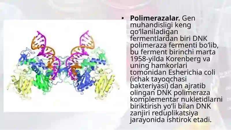 Viruslarni gen muxandisligida qo‘llanilishi 4