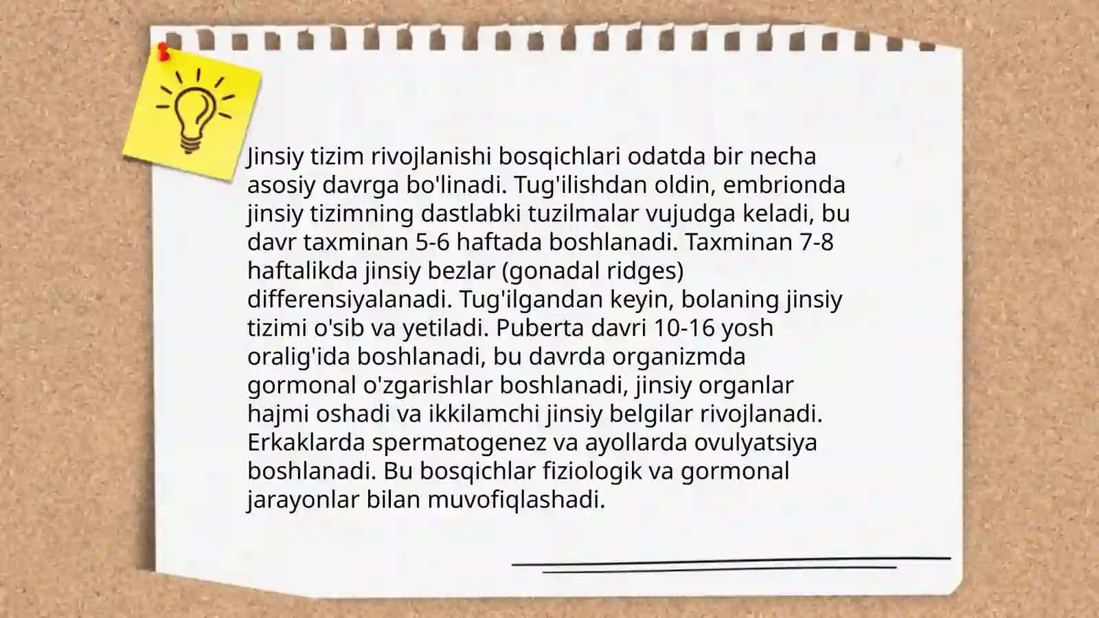 Jinsiy tizimning embriogenezi va unga ta'sir etuvchi omillar 4