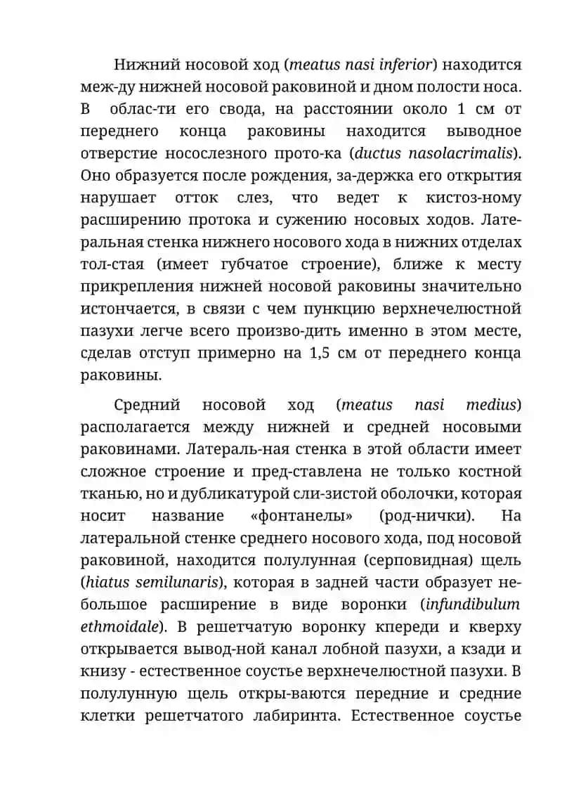 Клиническая анатомия носа и его придаточных пазух 4