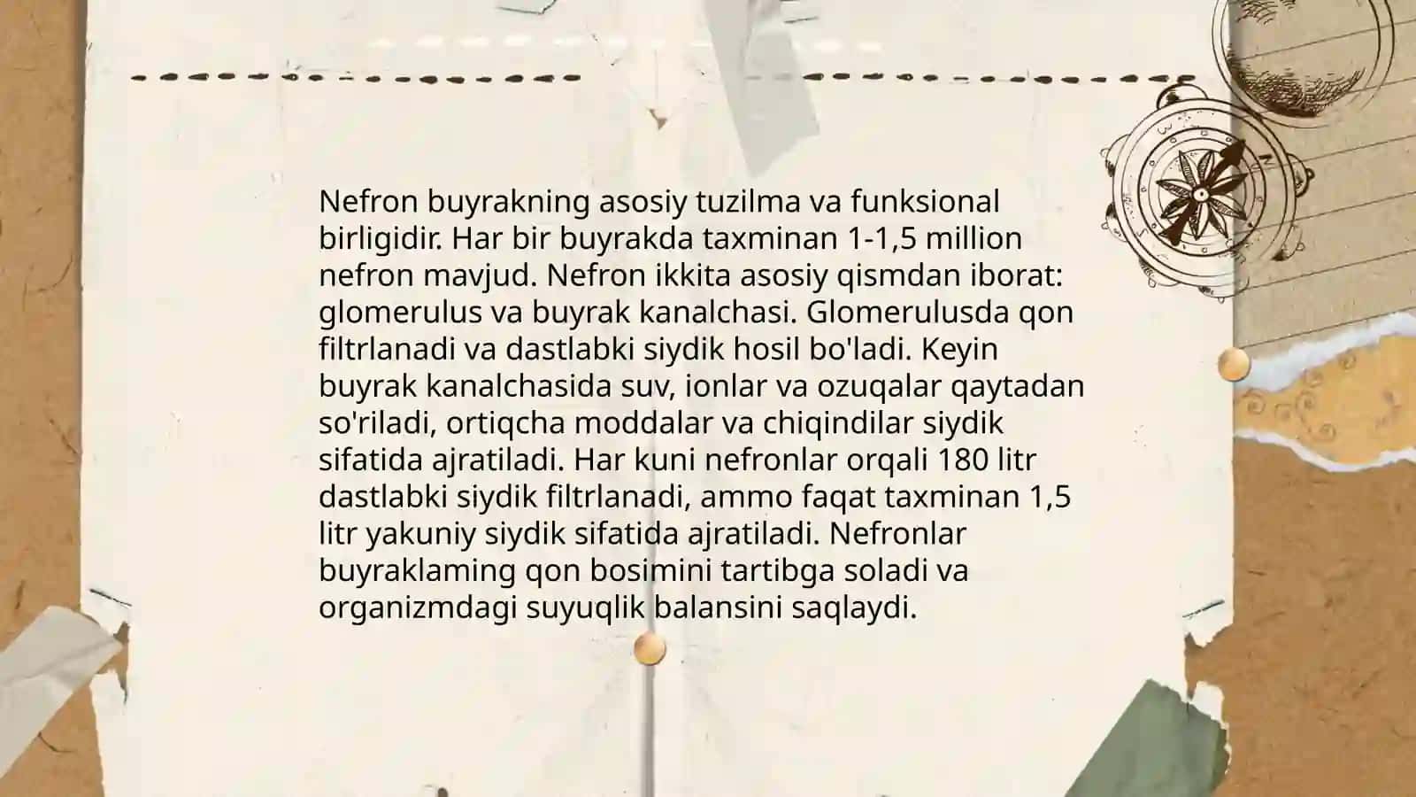 Ayiruv sistemasi. Buyrak fiziologiyasi 4