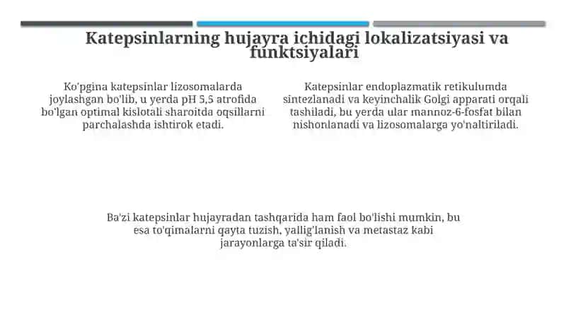 Katepsinlar: Tuzilishi, Funktsiyalari va Kasalliklardagi Roli 4