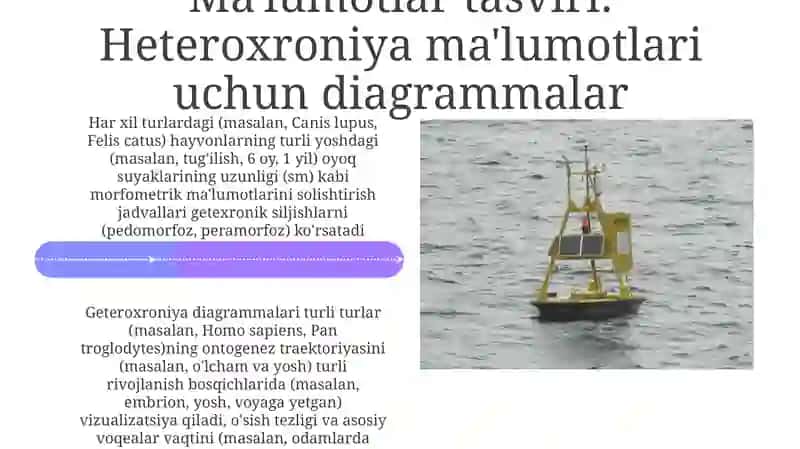 Geteroxronik O'sish va Rivojlanish bo'yicha Amaliy Tadqiqotlar 4