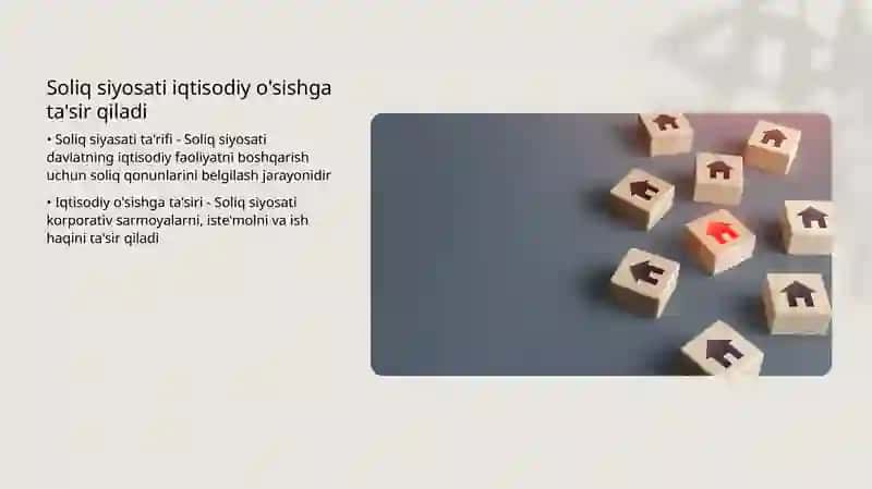 Toʻlovbalansiholatigasoliq-budjetvapul-kreditsiyosatiningta'siri 4