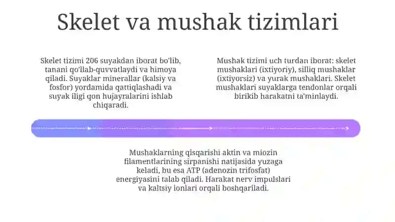 Hayvonlar anatomiyasi va fiziologiyasi 4
